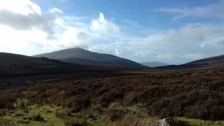 20181111_112630-scaled