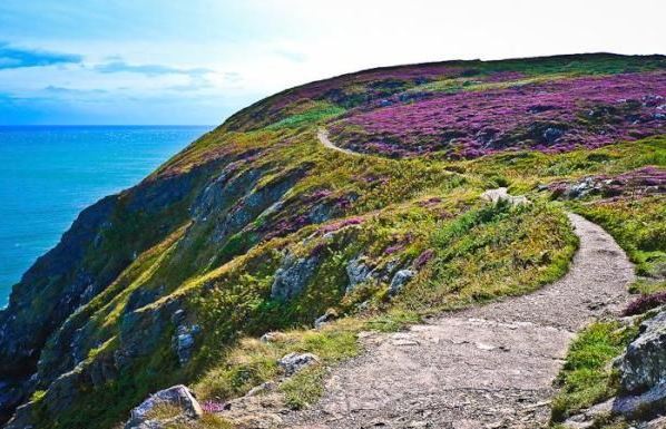 Howth-Cliff-Walk-1