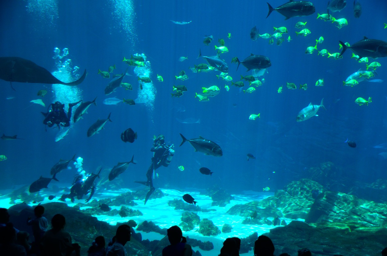 aquariums-in-ireland