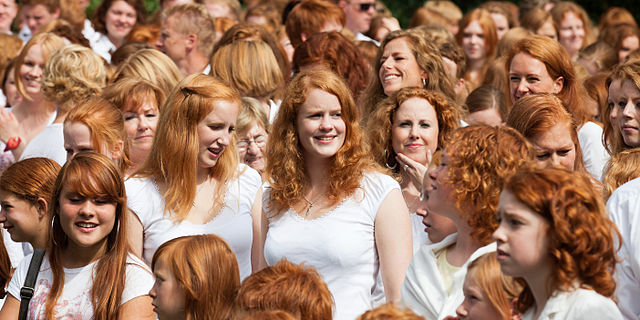 redhead festival ireland