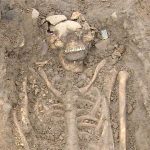 vampire skeletons ireland