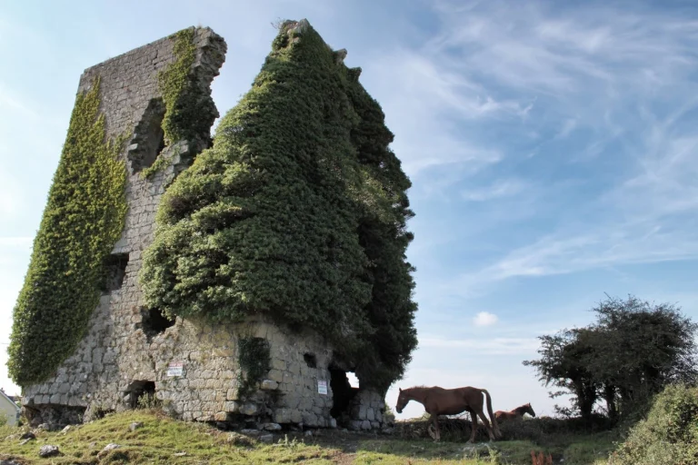 clonboo ireland