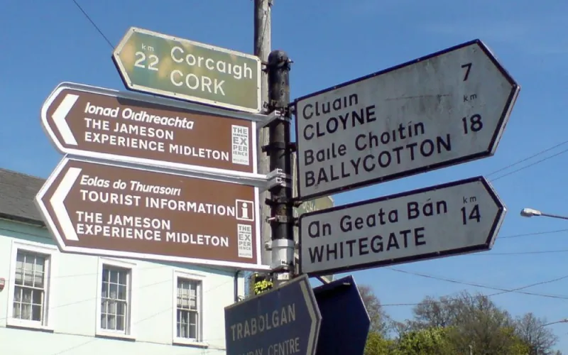 contributed to the Irish language decline?
