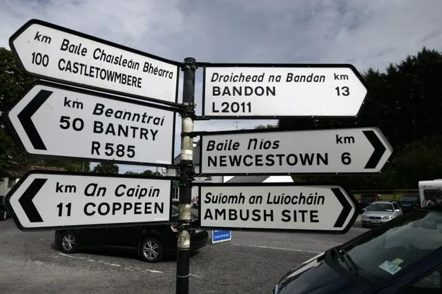 what language do irish people speak