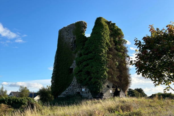 cloonboo castle