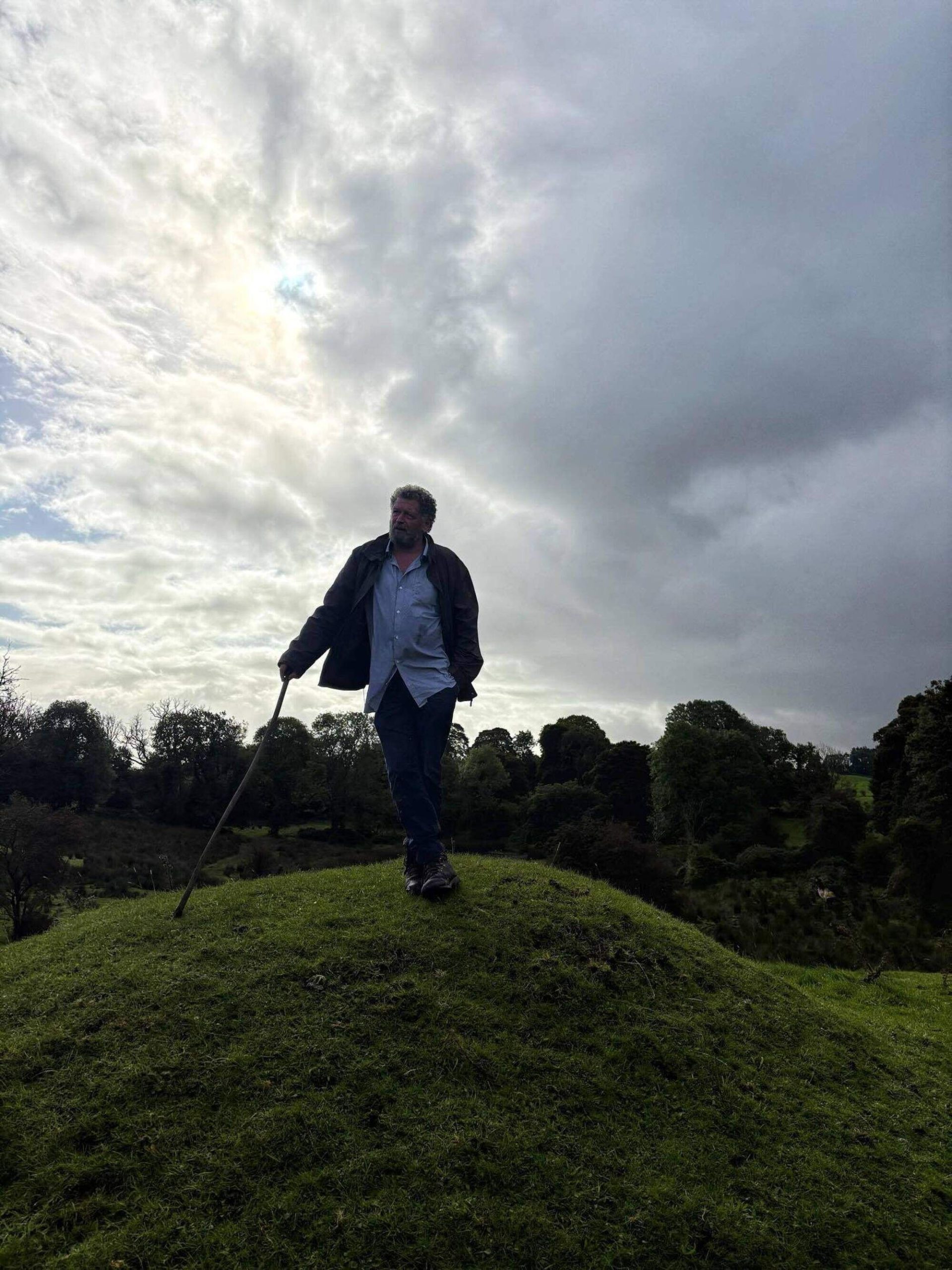 pat noone fairy tree