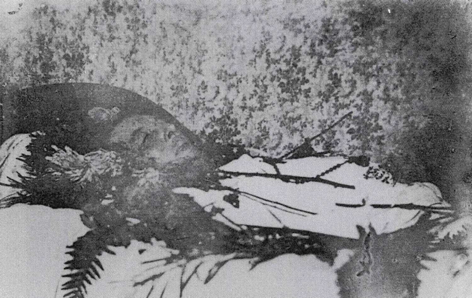 Oscar Wilde Deathbed Photo: Sold for 100 Times Guide Price at Bonhams Auction - Raw Legacy Unleashed