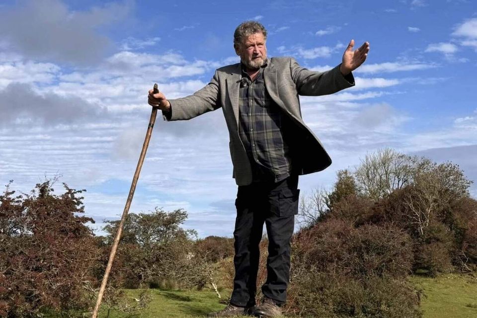 pat noone fairy whisperer