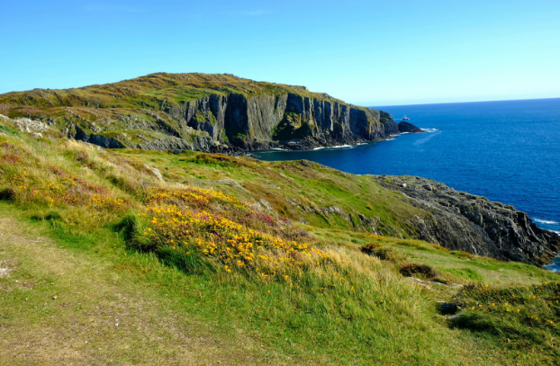 Screenshot 2026-03-30 12.54.02 PM