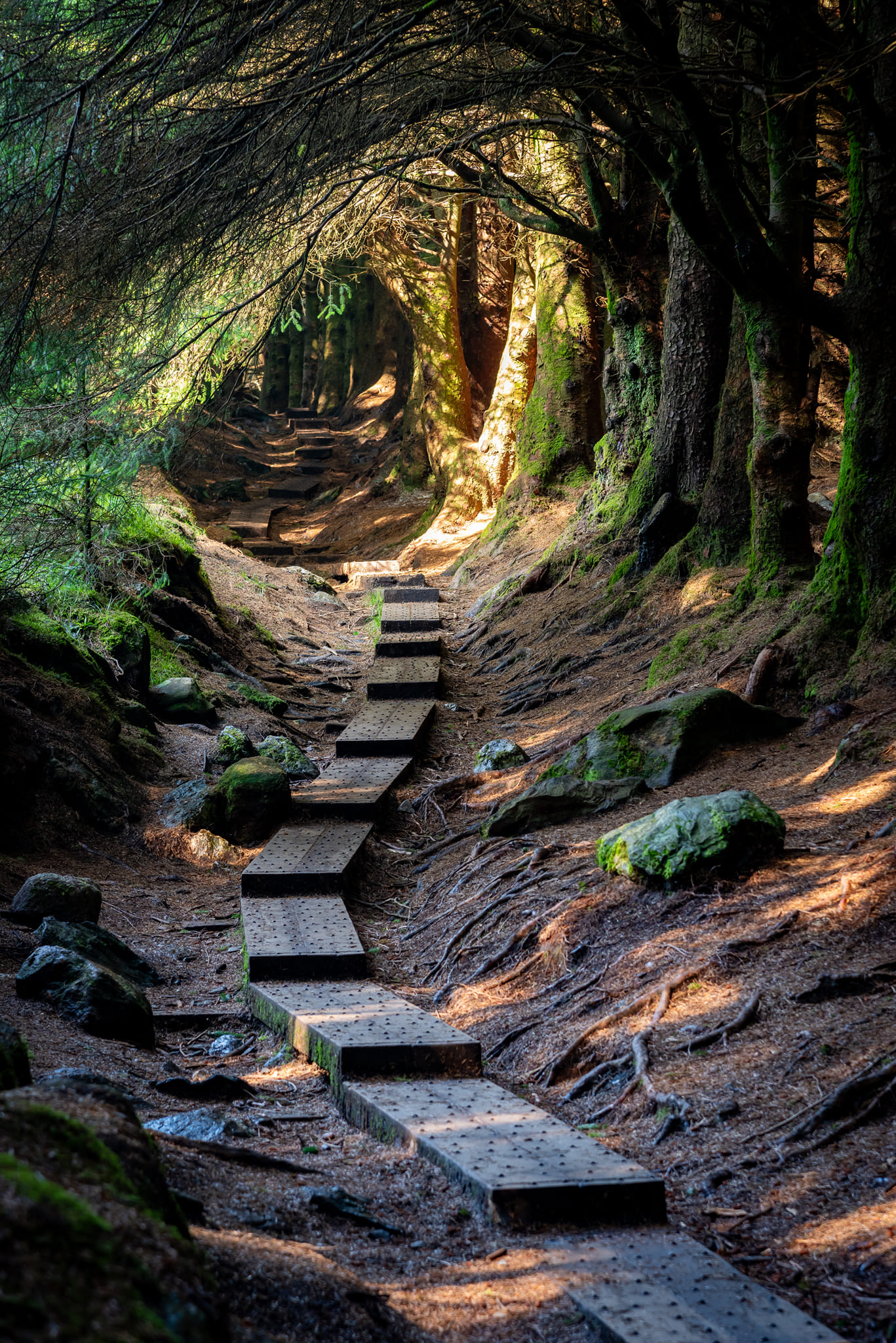 ireland viral walking spots