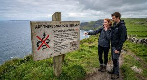 Are There Snakes in Ireland? Busting the Myths About Irish Wildlife